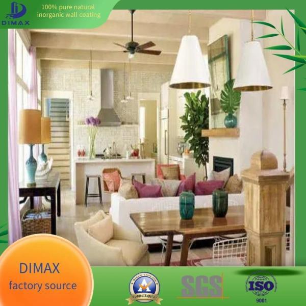 Stain Resistant Inorganic Paint with High Covering Power and Fire Proof Properties