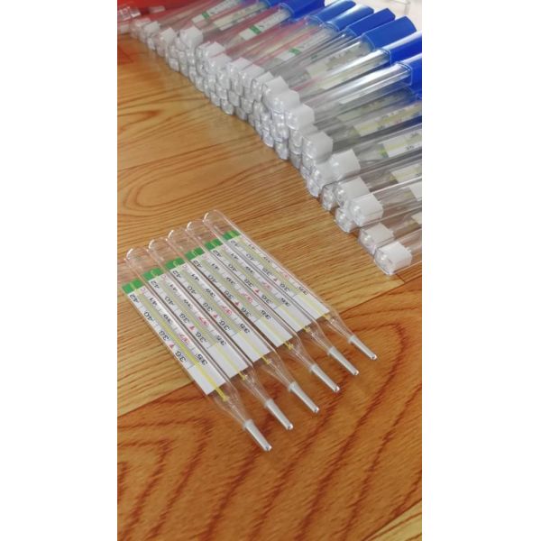 Mercury-Free Glass Thermometer for Medical Fever Temperature Hospital Grade