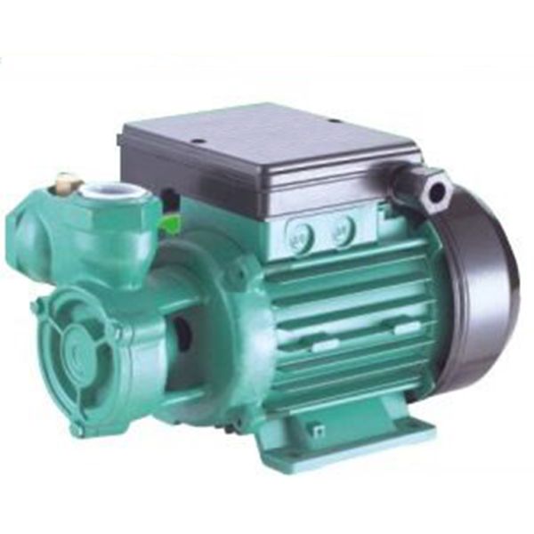 Electric Water Pumps For Houses , Vortex Water Pump For Hotel Using 0.75HP