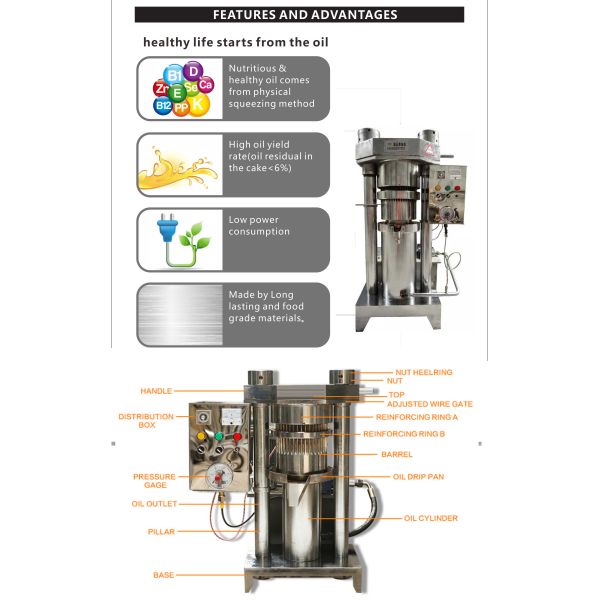 90kg/h German Hydraulic Prickly Pear Seed Oil Walnut Extraction Machine Press Hazelnut Olive Oil Machine 98%-100% Oil Output