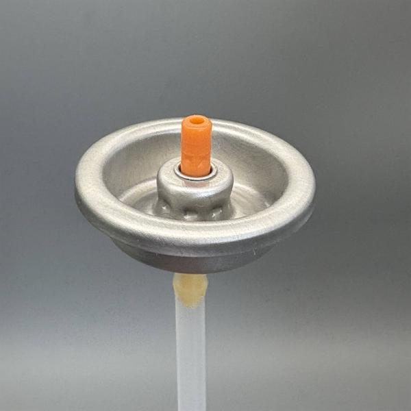 Valve insecticide compacte à base d'eau pour une utilisation en extérieur par temps - Caractéristique résistante