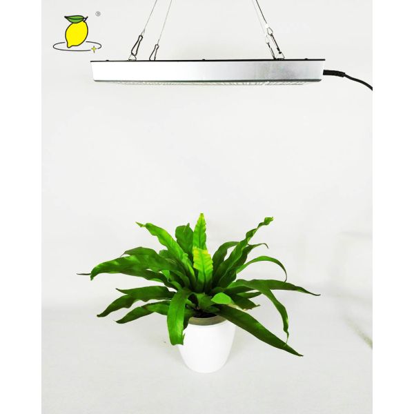 Luz impermeable del crecimiento vegetal de 625nm 265V
