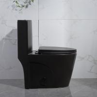 Toilette ovale d'une seule pièce de Siphonic la double a bordé Trapway 300mm rugueux dedans
