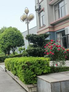Naike Chemical (Shenzhen) Co., Ltd