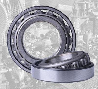CE Single Row Cylindrical Roller Bearings Carbon Steel With P6 Precision Level