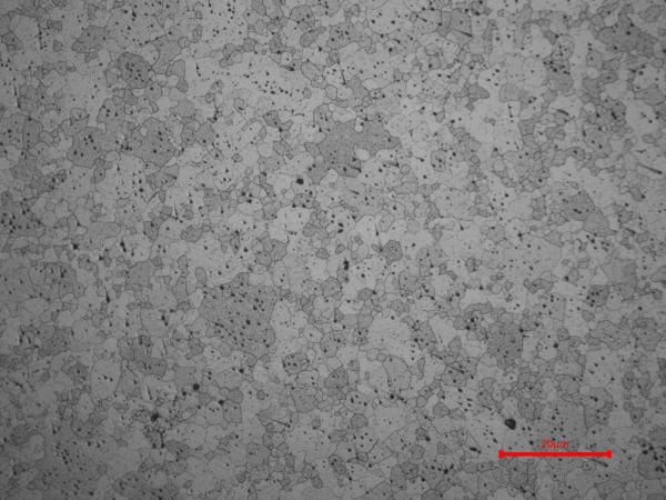 50mm-600mm Width Molybdenum  Plate