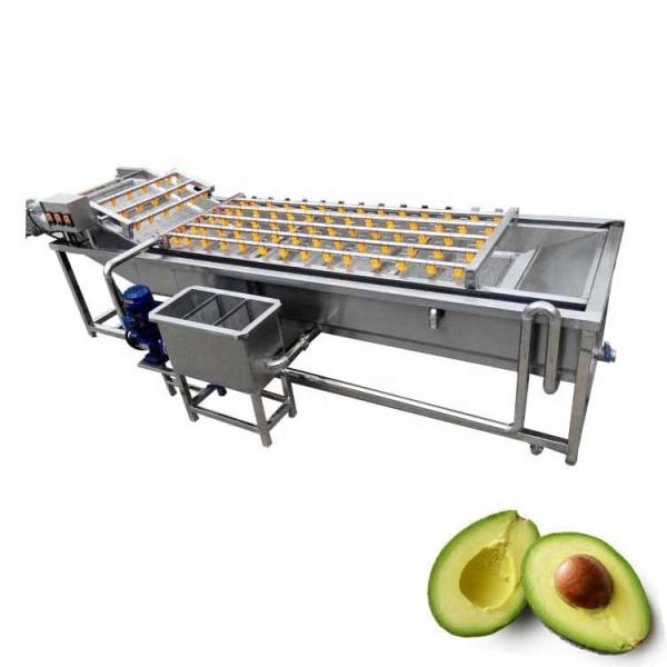 Air Bubble Eggplant Broccoli Cleaner Machine For Machinery Repair Shops Benefit