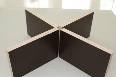 Double Sided Prefinished Plywood Panels / Eco Friendly Film Faced Birch Plywood Sheets