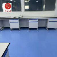 Storage Chemistry Chemical  Lab Furniture Modern and Customizable for Laboratory Storage