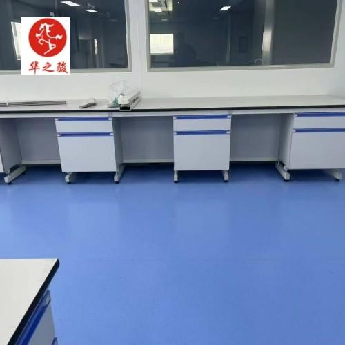 Storage Chemistry Chemical  Lab Furniture Modern and Customizable for Laboratory Storage