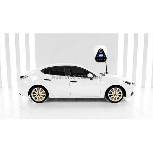 Rango de voltaje de entrada 220VAC Cargador portátil de 7 kW montado en la pared para vehículos de energía