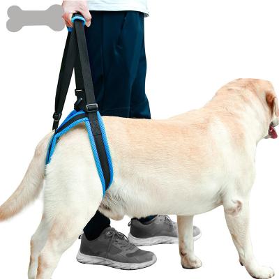 Trela auxiliar do chicote de fios do animal de estimação do apoio do pé da correia para o cão envelhecido alto de ferimento da inabilidade