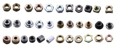 Cold Heading Customized Stainless Steel Nut Metric Systems DIN ISO Standard