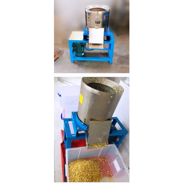 Versatile 2.2kw Electric Food Processor Ideal for Vegetable Processing Plant and Home