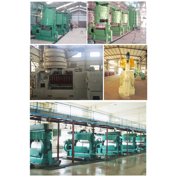 High Capacity Groundnut Oil Presser Screw Oil Press Machine for Groundnut Oil Production at Construction Works