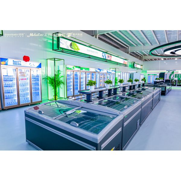 Two Glass Doors Economical Drinks Alcoholic Beverages Refrigerated Display Freezer