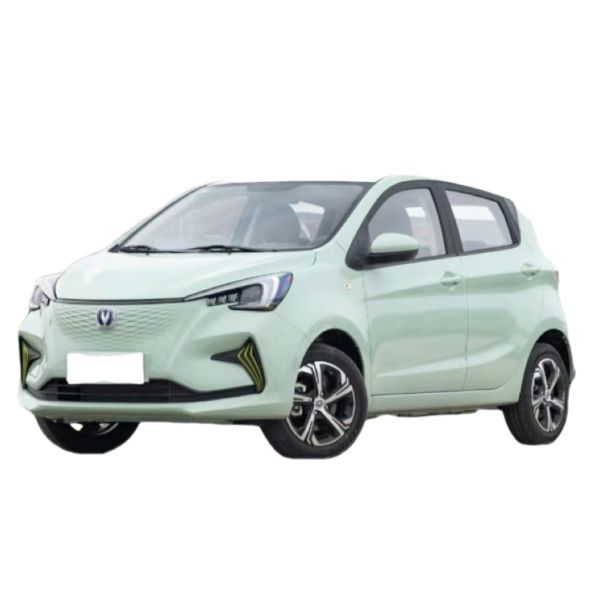 Green Color Mini EV Cars Changan Benben Ev 300KM Max Speed 101 Km/H