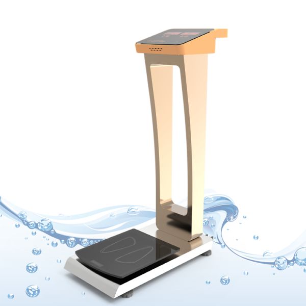 500kg Capacity Coin Operated Weighing Scale for Convenient Hotel and Shopping Mall