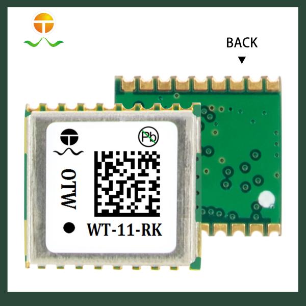 Dual Frequency RTK GNSS Module WT-11-RK for Surveying Mapping