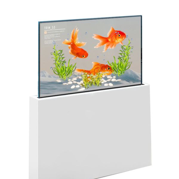 Museums 55 Inch Transparent OLED Display – Customizable Transparent OLED Screen for Exhibitions