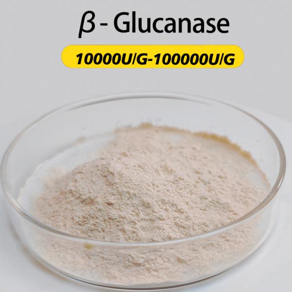 β-Glucanase 10000U/G-100000U/G Utilisé pour la transformation des aliments et des aliments pour animaux, personnalisation des spécifications d'activité enzymatique