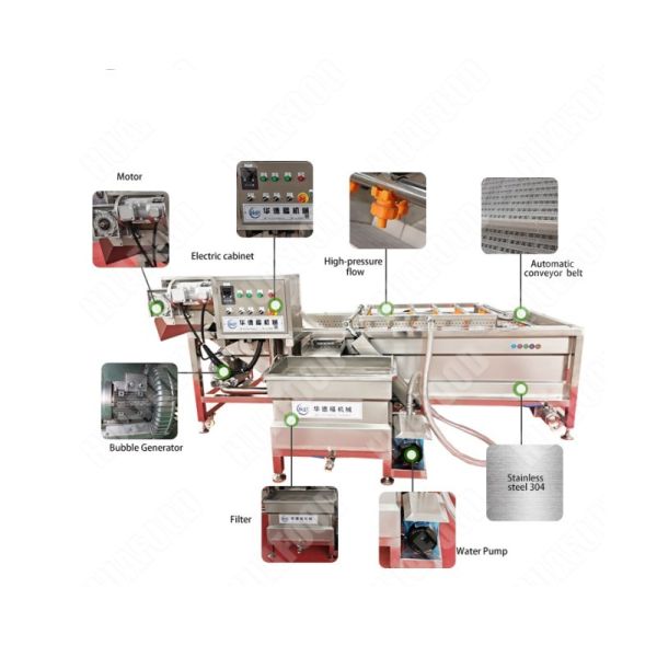Cost-Effective Ozone Vegetable Washing Machine Single