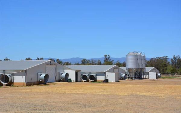 製金金属鋼 鶏屋 産業 鉄筋構造
