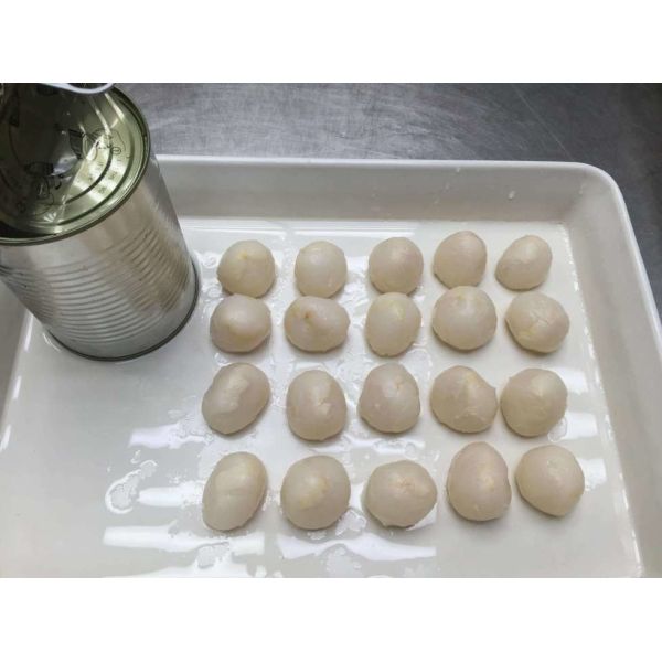 Сметанообразный ый-бел китаец Lychee цвета законсервировал тропический плод 14-17% Brix