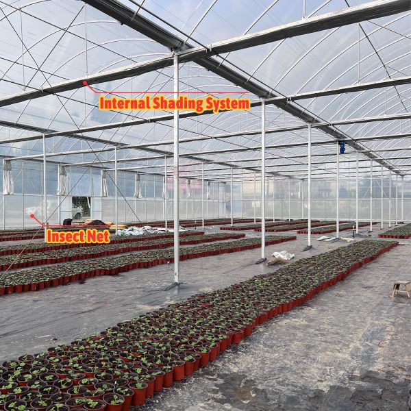 Vegetable Farming Solution 8-60m Customizable Size Agricultural Tunnel Greenhouse with Rolling Bench and Irrigation System