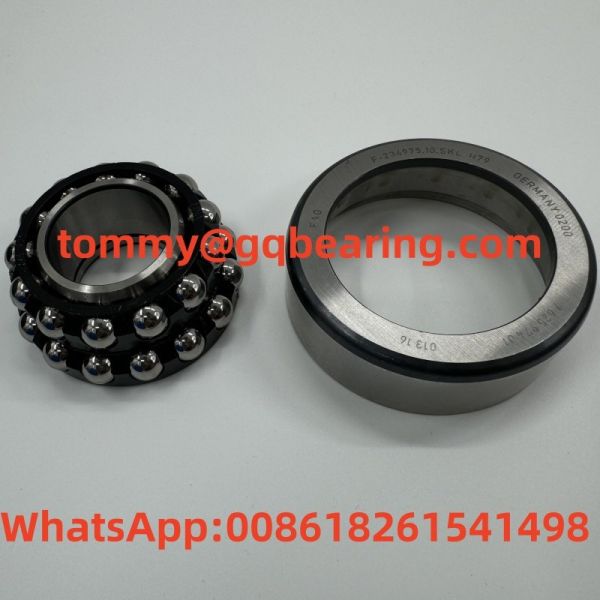 Chrome Steel Differential Automotive Bearings FAG F-234975.10.SKL-H79 792597401