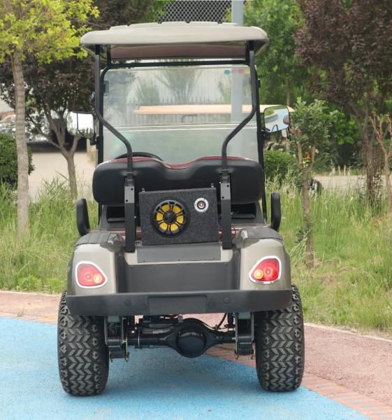 Véhicule utilitaire de 2 places Voiture de golf 30 km/h Automatique léger électrique à batterie