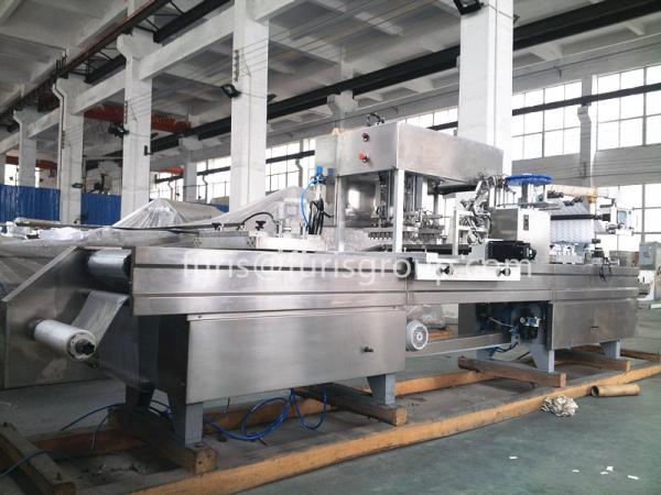 Soft PVC Blister Packaging Machine For Disposable Syringe / Blood Collecting Needle