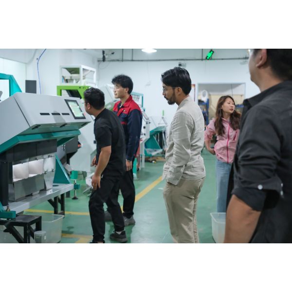 Wenyao Plastic Coffee Bean Peanut Colour Sorting Machine Colour Sorting Machine Rice Colour Sorting Machine Grain
