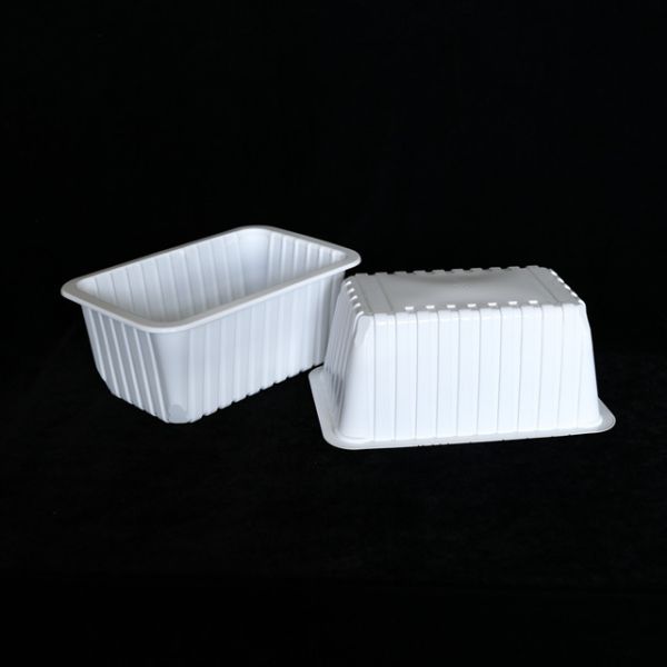 260 X 170 X 110MM Disposable Food Storage Containers Take Away Plastic Containers