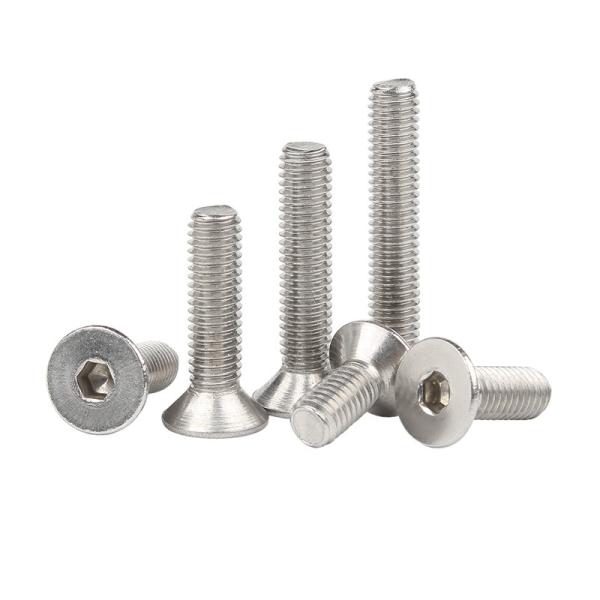 Customized stainless steel hex socket screws Allen Screw