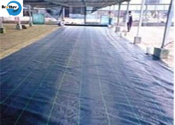 PP Plastic Raw Material Weed Mat White/ PP Woven Weed Control Fabric for Construction Anti Grassvgeotextile