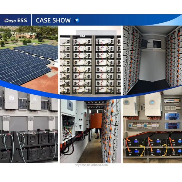 Deye RW-F10.2 LiFePO4 Lithium Ion Energy Storage Battery Wall-Mounted Solar Power System with Lithium Batteries