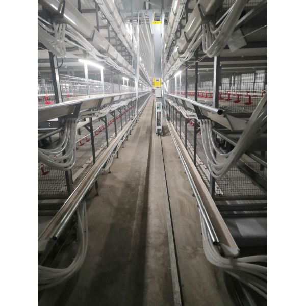 Промышленные стальные конструктивные здания Преfabricated Steel Poultry House Customized