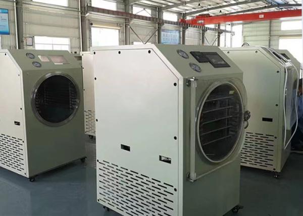 PLC Controlled Food Home Freeze Dryer 6Kg 10Kg Medium Size
