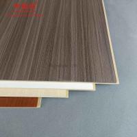 Panneau de mur de haut niveau de Wpc en bois 2800*600*9mm intérieurs pour la décoration