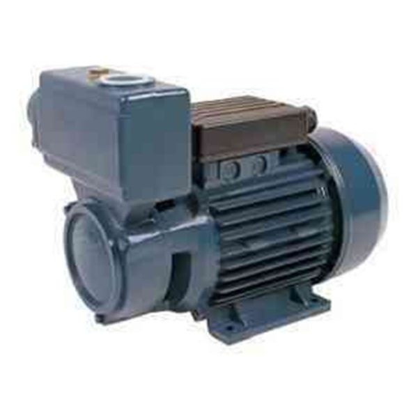 TPS -70 Series Domestic Electric Motor Water Pump 0.75HP/0.55KW