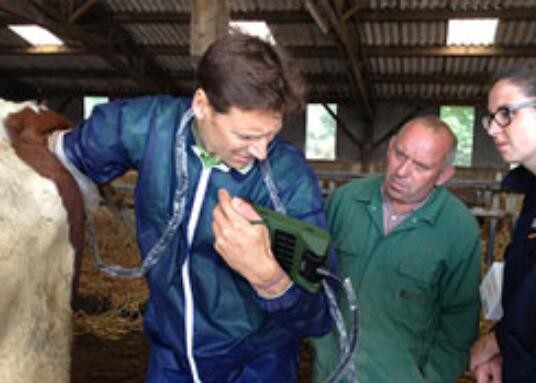 Escáner veterinario del ultrasonido de la mini máquina del ultrasonido con 6.5MHz el informe rectal linear de la punta de prueba OB disponible