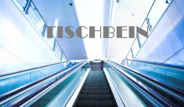 600mm 800mm 1000mm Big Load Shopping Cart Escalator With Handrail Lighting Used In Railway Station Airport Supermarket