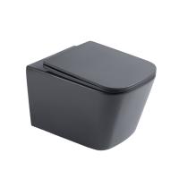 Wall Hung Toilet Set with Soft Close Seat and Rimless Bowl