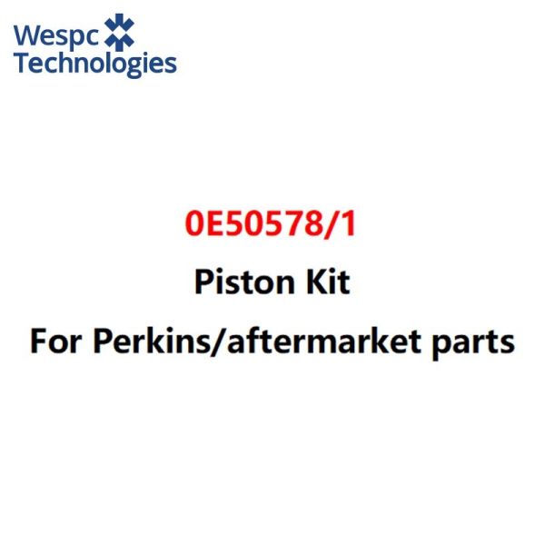 WESPC 0E50578 1 piston kit for Perkins 1106 series diesel engines