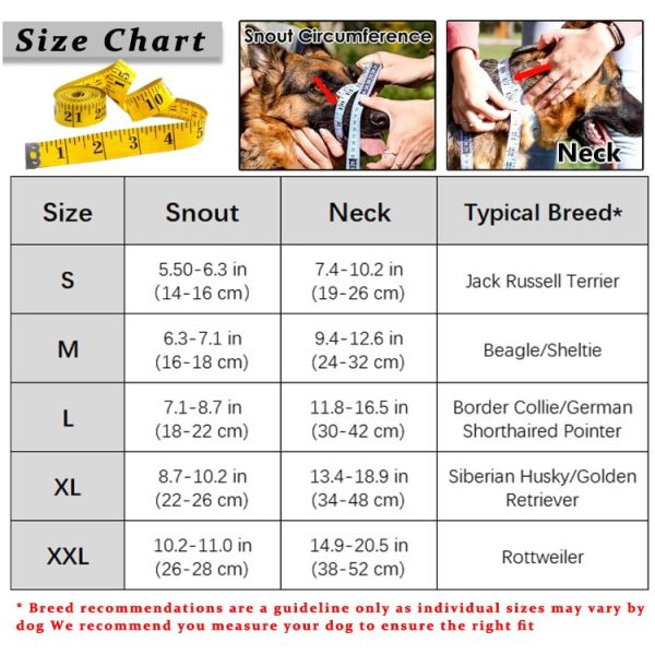 Собака над Halter воротника головы руководства собаки носа с ремнем безопасности
