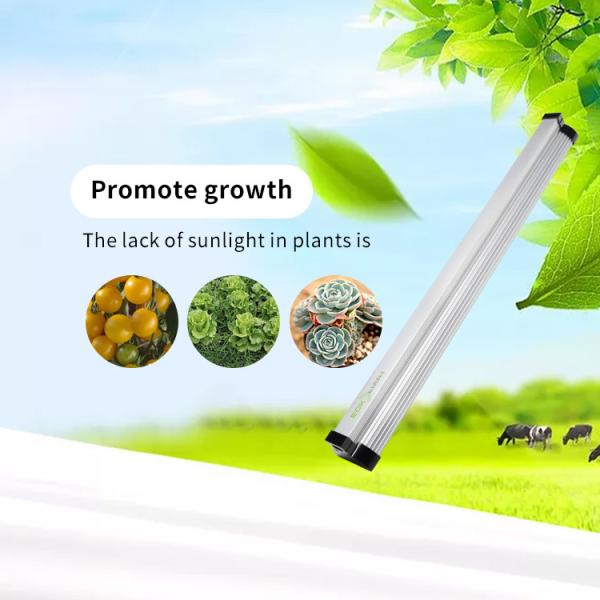 SMD2835 EDK 24W Vertical Farming Dimmable LED Grow Lights OEM Services