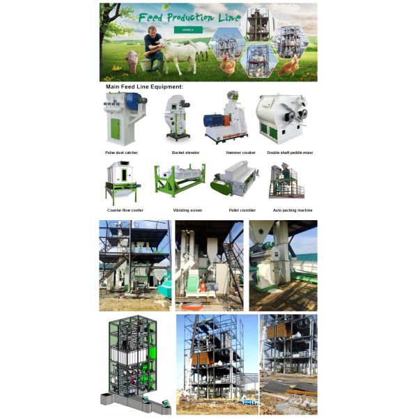 Stainless Steel Pellet Making Machine Medium Farm Feed Pellet Mill SKF Bearing