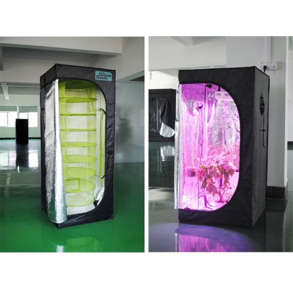 100*100*180cm Home Dismountable Indoor Grow Tent With Window