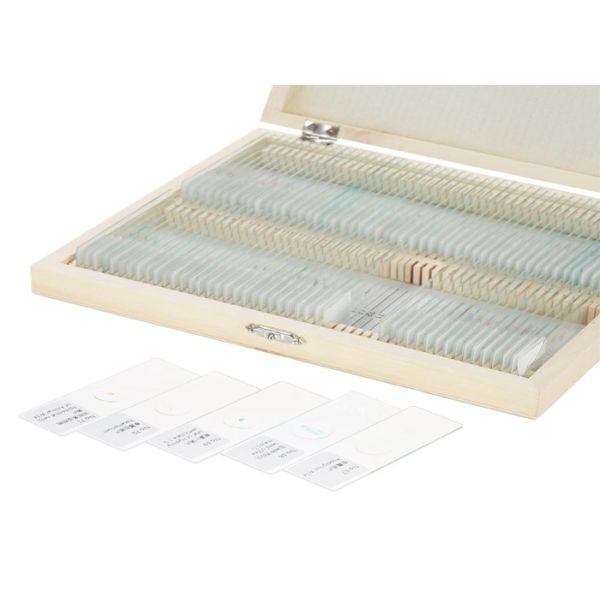 100 Pieces Botany Epidermis Microscope Slides Optical Glass Material Made